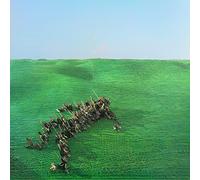 Squid - Bright Green Field