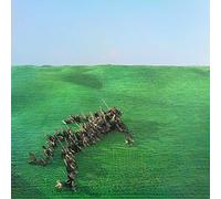 Squid - Bright Green Field