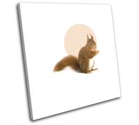 Squirrel Forest Modern Circle Animals SINGLE TELA parete arte foto stampa