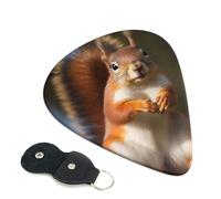 Squirrel Funny Animal - Confezione da 6 plettri per chitarra con supporto, plettri per chitarra personalizzati, antiscivolo, portatili, ukulele, basso, 0,71 mm, per amanti della chitarra acustica