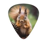 Squirrel holding a pinecone stampato set di plettri - 12 pezzi, sottili, medi e spessi, adatti per chitarra, basso, chitarra elettrica e ukulele