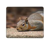 Squirrel Just Laying Tappetino Scrivania Lavabile Mouse Pad Antiscivolo Tappetino per Mouse for Computer Ufficio Pc 25X30Cm