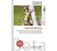 Squirrel Monkey: New World Monkey, Central American Squirrel Monkey, Black-crowned Central American Squirrel Monkey, Grey-crowned Central American Squirrel Monkey