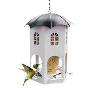 Squirrel Proof Bird Feeders - Metal Finch Feeder, Waterproof Weatherproof Design, Outdoor Feeding Station | Easy Refill Bird Feede with Clear Window Drainage System UV Protection Garden Decoration
