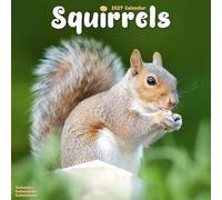 Squirrels 2027 Calendar | Square Wall Calendar | Animal Gift | Plastic Free Packaging | by Avonside Publishing