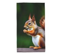 Squirrels Eating Peanut On The Tree Pattern Asciugamani Leggeri Asciugamano Traspirante Asciugamani Viso per Uomo Campeggio Donna 40X70Cm
