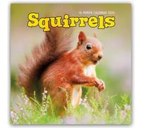 Squirrels - Eichhörnchen 2026 - Wand-Kalender: Original Carousel-Kalender [Mehrsprachig] [Kalender]