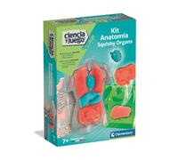 Squishy Organs Anatomy Kit