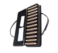 Squisita armonica diatonica blues nera a 10 fori, set di arpa standard da 12 pezzi Armonica Per Principianti