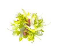 Squisita forcina per capelli 3D per donne Summer Side Pin accessorio in plastica durevole quotidiano varie occasioni bang resistente alla dissolvenza verde chiaro