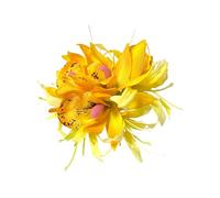 Squisita forcina per capelli 3D per donne Summer Side Pin accessorio in plastica durevole quotidiano varie occasioni bang resistente allo sbiadimento giallo