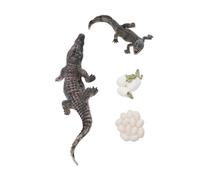 Squisito Modello del Ciclo di Vita della Crescita degli Animali Set di Figurine in PVC per L'educazione Precoce dei Bambini, Ispirando curiosità e capacità di Osservazione