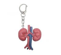 Squisito portachiavi a cinque organi realizzato con materiali misti per coloro che superano il crepacuore o le lotte emotive, portachiavi unico a forma di organo, Rene, Taglia unica