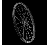 Sram AMWH 101X TL DBCL 65F12X100 Std NTWA1