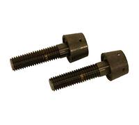 Sram, AXLE Bolts Front 333 Track HUB Unisex Adulto, Nero-Nero