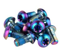 SRAM Viti fissaggio rotore – Set 12 pezzi – Titanio – T25 – Rainbow – Taglia unica