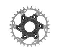 Sram Xx T-Type Fazua A1 Dm Unisex Corona Grigio 32 Denti