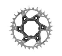 Sram T-type Xx Eagle Tq Chainring Argento 34t