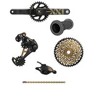 SRAM XX1 Eagle Dub 175 Gruppo 175 mm Inglese BB 34T 10-50T Oro