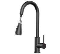 SREWOHS PRO Rubinetto Lavello Cucina,Miscelatore Cucina con Doccetta Estraibile,