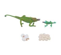 Srliya 4 Pezzi Simulazione del Modello di Giocattolo Animale Ornamento per Bambini Ciclo di Crescita Cognitiva per la Scuola Domestica