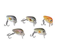 Srliya Kit Mini Esche da Pesca per Acqua Dolce e Salata | Design realistico, dimensioni assortite, ottimo per i pescatori, materiale ABS resistente, versatile per tutte le acque