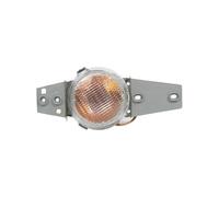 SRQORT Fari Fendinebbia Per Toyota Per Terios J100 1999-2005 Luce D'angolo Anteriore Automatica Indicatore Di Direzione Luce Di Guida Gruppo Fendinebbia(Only Left)