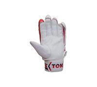 SS BG0518, Cricket Batting Gloves Men's, Multicolor, Men LH