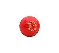 SS Palle da cricket Gutsy | Confezione da 2 palline | Colore: Multicolore | Per uomini e ragazzi | Materiale: sintetico | Ideale per la pratica | Sfera da cricket regolare per rimbalzo e durezza