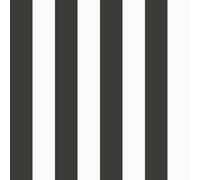 SS21233-StyleSisters Carta Da Parati Striata Nera Galerie