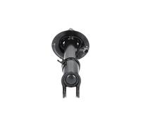 SSA-4017 KAVO PARTS Ammortizzatore per KIA
