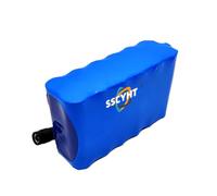 SSCYHT 11.1v12.8ah b, Batteria agli ioni Litio CC 12V 11,1V 2,5Ah 3,2Ah 5Ah 6,4Ah 7,5Ah 9,6Ah 10Ah 12,8Ah Batteria Litio Ricaricabile con Spina CC per Radio/Luce Pesca/Auto RC/Striscia Luminosa a LED