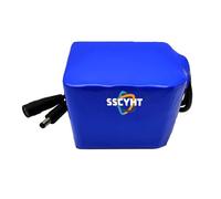 SSCYHT 11.1v12.8ah Batteria agli ioni Litio CC 12V 11,1V 2,5Ah 3,2Ah 5Ah 6,4Ah 7,5Ah 9,6Ah 10Ah 12,8Ah Batteria Litio Ricaricabile con Spina CC per Radio/Luce Pesca/Auto RC/Striscia Luminosa a LED