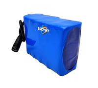 SSCYHT 11.1v9.6ah, Batteria agli ioni Litio CC 12V 11,1V 2,5Ah 3,2Ah 5Ah 6,4Ah 7,5Ah 9,6Ah 10Ah 12,8Ah Batteria Litio Ricaricabile con Spina CC per Radio/Luce Pesca/Auto RC/Striscia Luminosa a LED