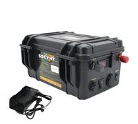 SSCYHT 12v100ah, Batteria per elica Marina da 12 Volt, Batteria al Litio 12V 100Ah 120Ah 150Ah 200Ah di Ricambio per Carrello da Golf/Marina/Camper/Motore da traina con caricabatteria