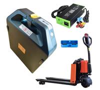 SSCYHT 24V Batteria carrello elevatore elettrico 48V Batteria al litio Batterie sollevatori telescopici 20Ah 50Ah Batterie LiFePO4 per transpallet elettrico PTE15Q,48v20ah with charger