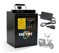 SSCYHT 48v15ah, Batteria per Scooter e Bicicletta 48V 15Ah 20Ah 25Ah Pacco Batteria agli ioni di Litio da 48 Volt per Motori ciclomotori e tricicli 250W 500W 750W 1000W 1200W