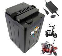 SSCYHT 48v22ah, Batteria per Triciclo Elettrico 72V 60V 48V 18Ah 20Ah 22Ah 22,5Ah 24Ah 25Ah 28Ah 30Ah 40Ah 50Ah Batteria agli ioni Litio per ciclomotore Scooter Motocicletta con Caricabatterie