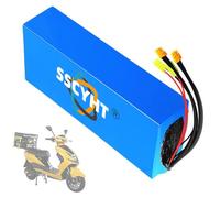 SSCYHT 60v25ah, Batteria agli ioni di Litio 60V 30Ah 25Ah 20Ah 15Ah 12Ah Batteria di Ricambio per Scooter, Motocicletta Triciclo 60 Volt per Motore per Bicicletta Pieghevole 100-1800W