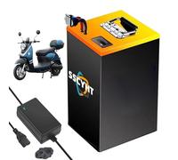 SSCYHT 60v50ah, Batteria agli ioni Litio 60V 25Ah 35Ah 45Ah 50Ah Ricaricabile 60 Volt Motocicletta e Triciclo con indicatore LED sulla Maniglia caricabatteria per Motori Biciclette 0 a 3000W