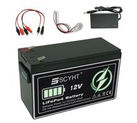 SSCYHT Batteria a ciclo profondo 12 V Batteria litio con display