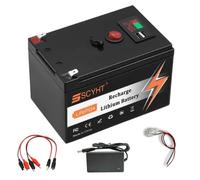 SSCYHT Batteria a ciclo profondo 24 V Batteria litio con porta USB