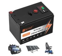 SSCYHT Batteria a ciclo profondo 24 V Batteria litio con porta USB
