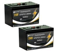 SSCYHT Batteria a ciclo profondo 24 V Batteria litio LiFePO4