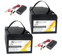 SSCYHT Batteria al litio 12V 30Ah Batteria ricaricabile 12V Batterie LiFePO4 30Ah Batterie agli ioni di litio per energia solare con caricabatterie per motore 250W a 360W,12v30ah 2pack
