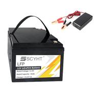 SSCYHT Batteria al litio 12V 30Ah Batteria ricaricabile 12V Batterie LiFePO4 30Ah Batterie agli ioni di litio per energia solare con caricabatterie per motore 250W a 360W,12v30ah 1pack