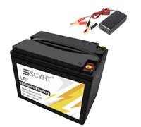 SSCYHT Batteria al litio 12V 50Ah 36Ah Batteria LiFePO4 12V Batterie a ciclo profondo per nautica, solare, camper con caricabatterie e maniglia per kit motore 250W a 600W,12v36ah 95mm