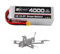 SSCYHT Batteria al litio 14,8 V 4S Batteria Lipo 6S 22,2 V 4000 mAh Batterie ricaricabili 14,8 V Batterie droni per aeromodelli con BMS per motori 50 W a 90 W,22.2v4000mah xt60 u