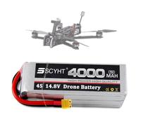 SSCYHT Batteria al litio 14,8 V 4S Batteria Lipo 6S 22,2 V 4000 mAh Batterie ricaricabili 14,8 V Batterie droni per aeromodelli con BMS per motori 50 W a 90 W,14.8v4000mah xt60 u