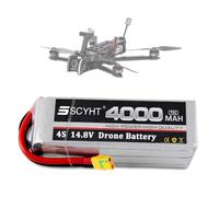 SSCYHT Batteria al litio 14,8 V 4S Batteria Lipo 6S 22,2 V 4000 mAh Batterie ricaricabili 14,8 V Batterie droni per aeromodelli con BMS per motori 50 W a 90 W,14.8v4000mah xt90 s